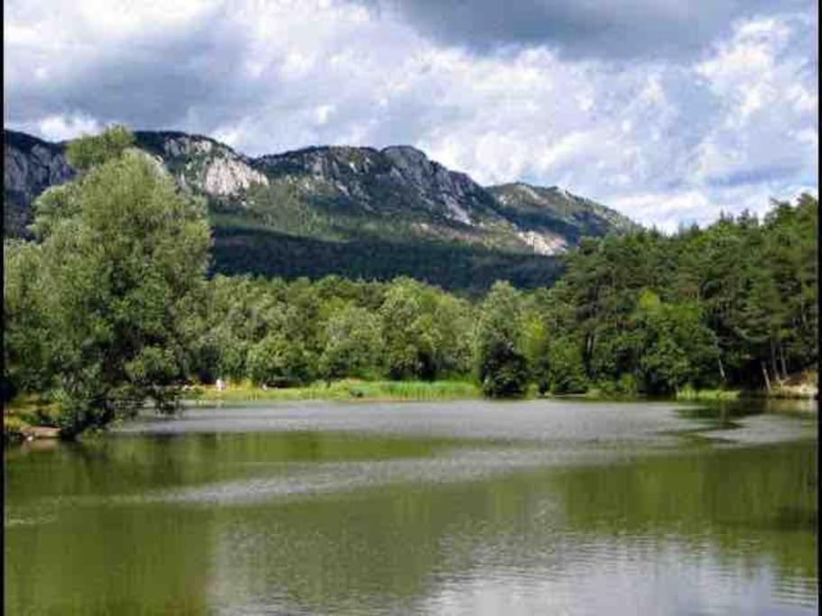 Greolieres: Superbe Studio Avec Vue Montagne Buitenkant foto